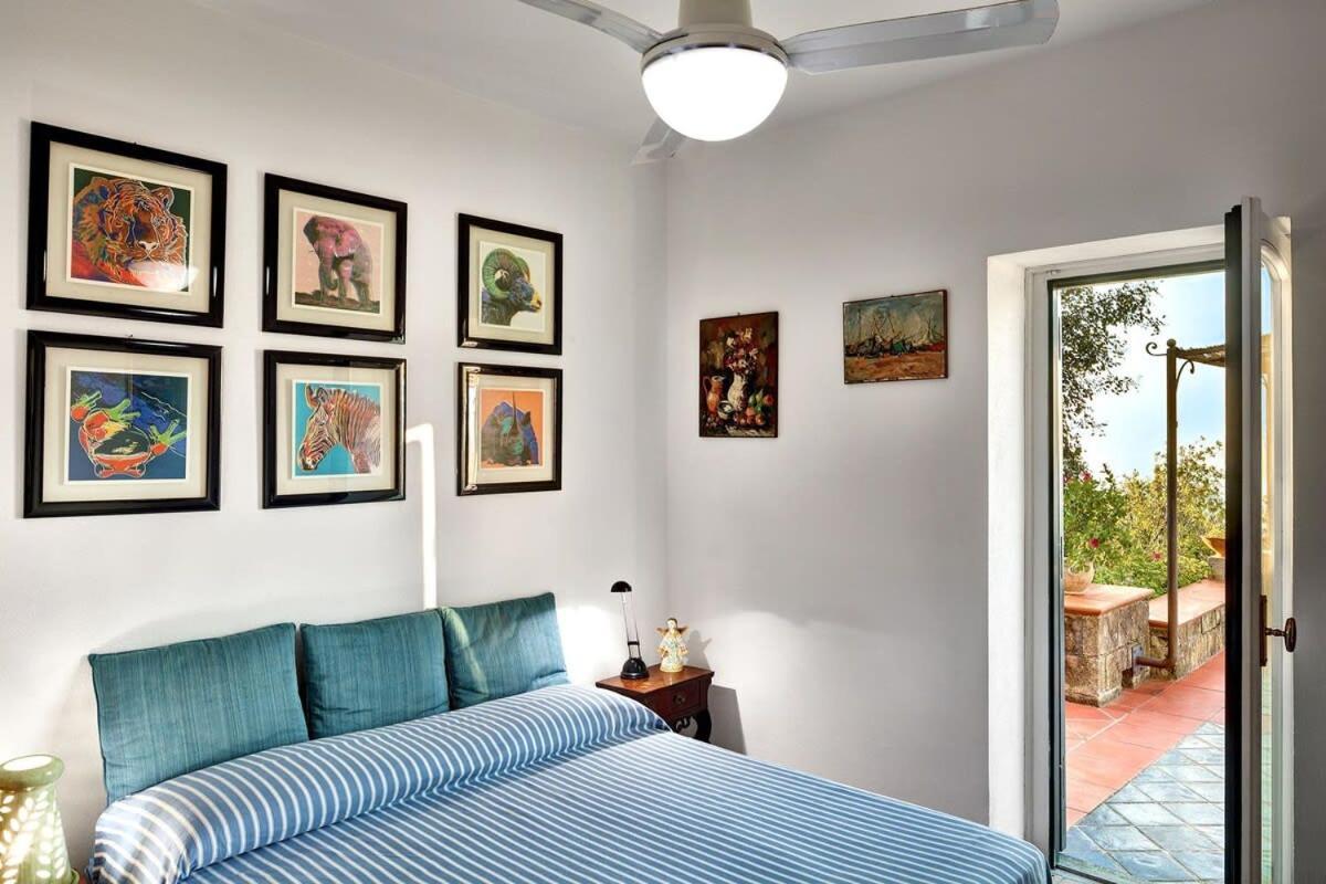 Fondo Turiello Villa Gardens Pool And Guest Services Massa Lubrense Exterior photo
